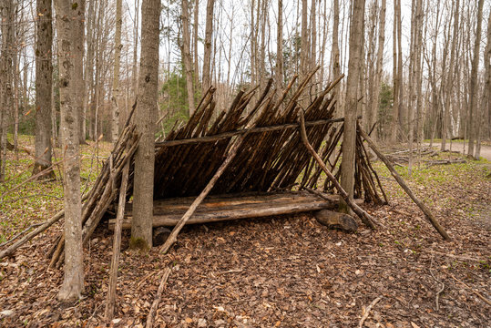 Lean to survival shelter