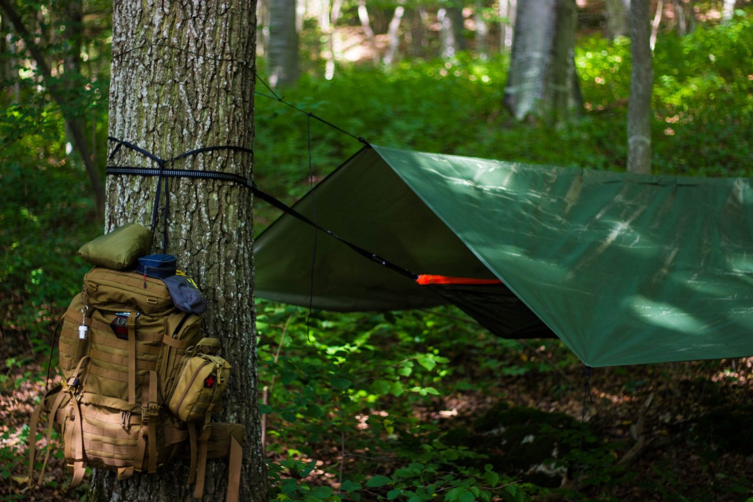 Best Types of Shelter for Survival